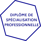 Diplôme de spécialisation professionnelle